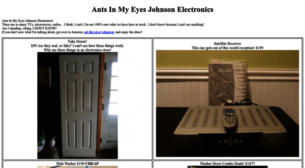 antsinmyeyesjohnsonelectronics.com