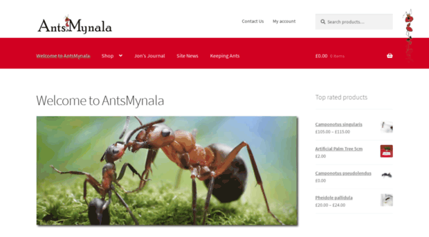 antsmynala.co.uk