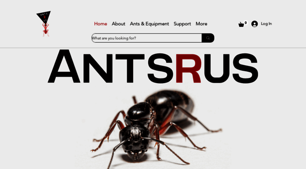 antsrus.com