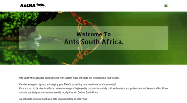 antssouthafrica.com