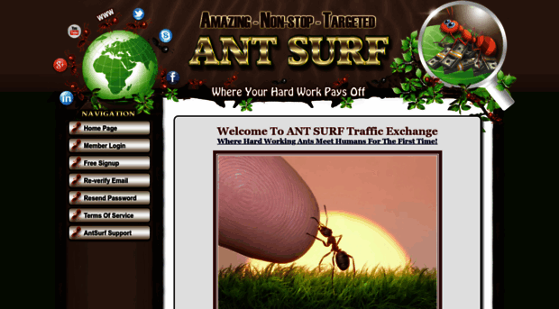 antsurf.com