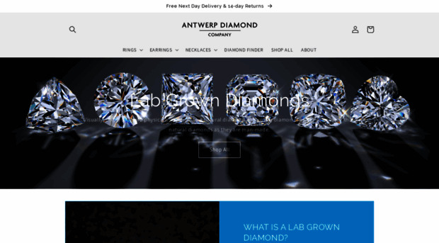 antwerpdiamond.co.uk