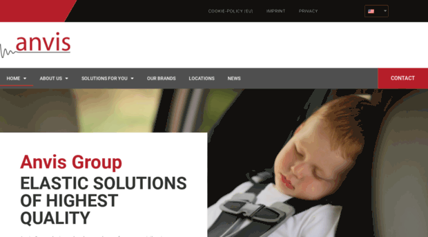 anvisgroup.com