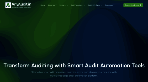 anyaudit.in