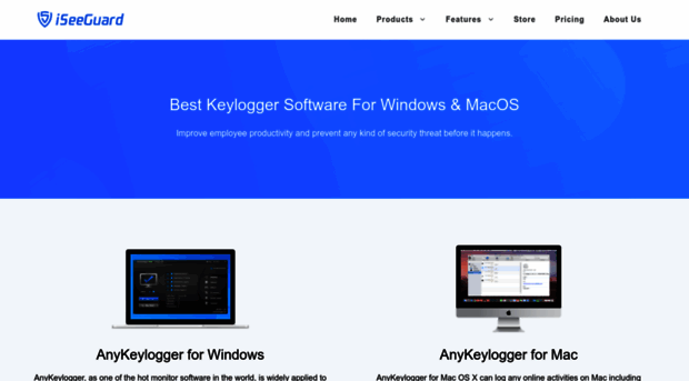 anykeylogger.com