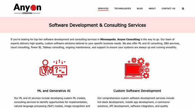 anyonconsulting.com