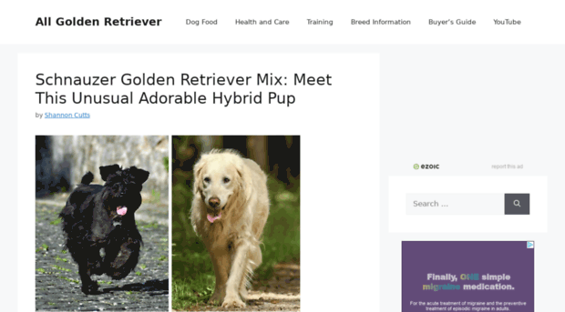 anythinggoldenretriever.com