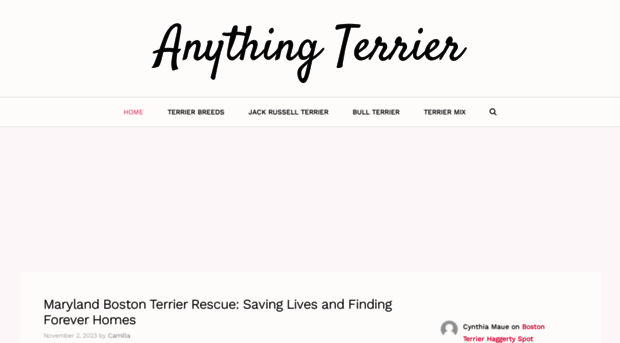 anythingterrier.com