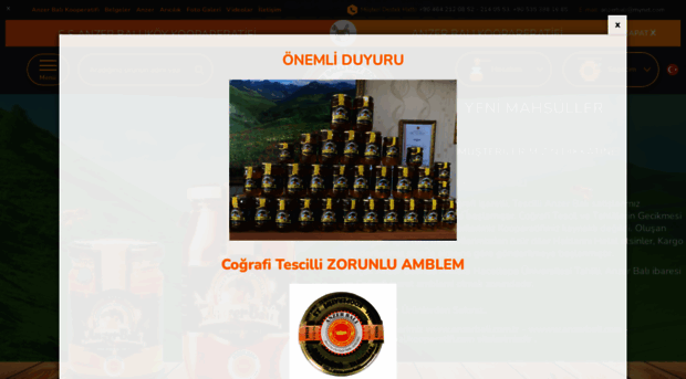 anzerbali.com.tr