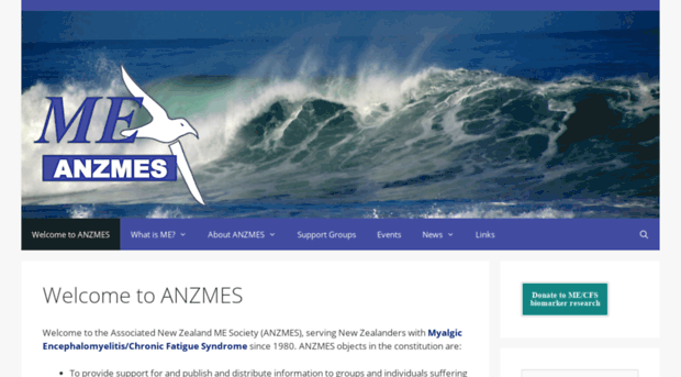 anzmes.org.nz