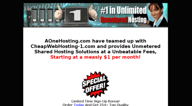 aonehosting.com