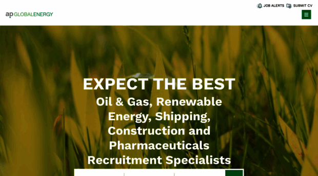 ap-globalenergy.com