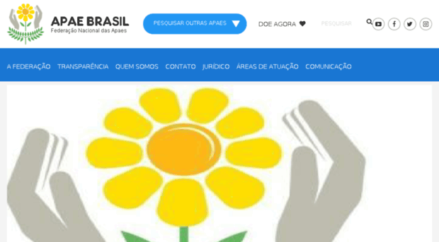 apaeminas.org.br