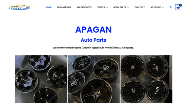 apaganautoparts.com