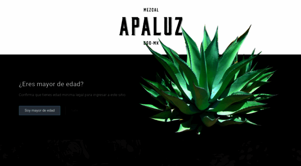 apaluz.com.mx