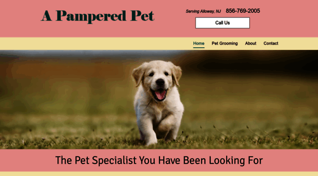 apamperedpetgrooming.com