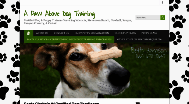 apawabovedogtraining.com