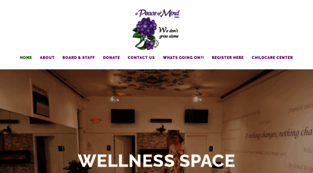 apeaceofmindinc.org