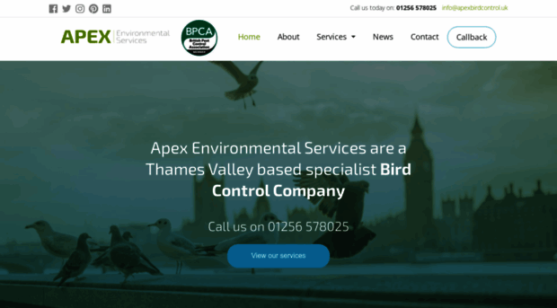 apexbirdcontrol.uk