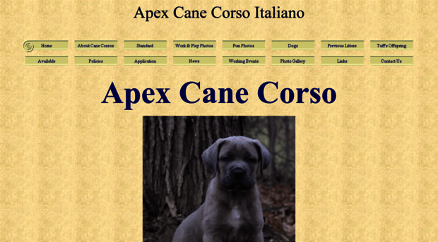 apexcanecorso.com