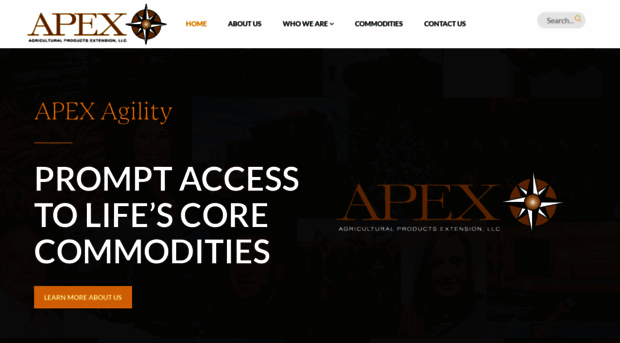 apexllc.net