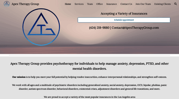 apextherapygroup.com