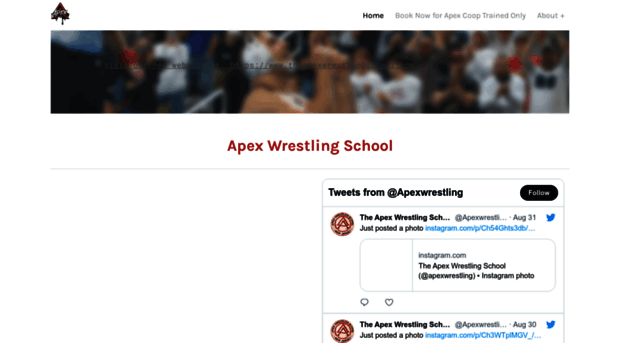 apexwrestlingschool.com