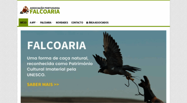 apfalcoaria.org