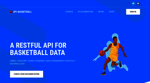 api-basketball.com