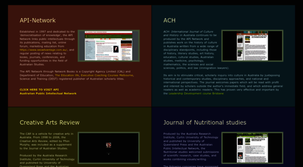 api-network.com