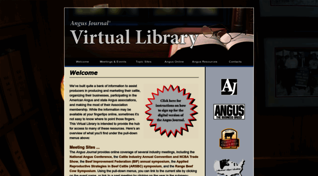 api-virtuallibrary.com