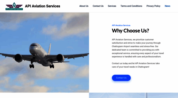 apiaviationservice.com