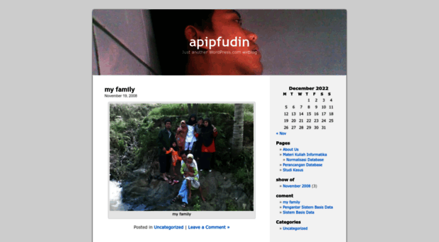 apipfudin.wordpress.com