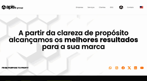 apis3.com.br