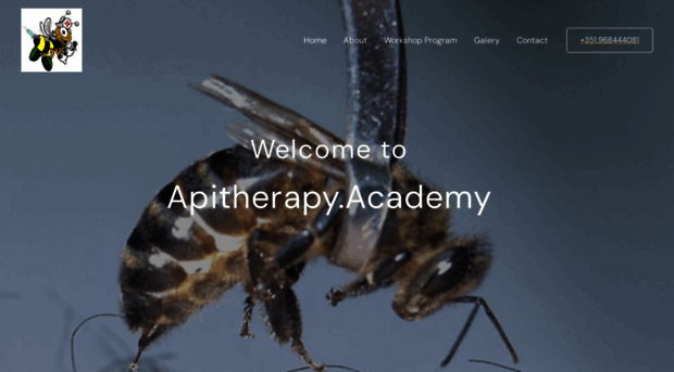 apitherapy.academy