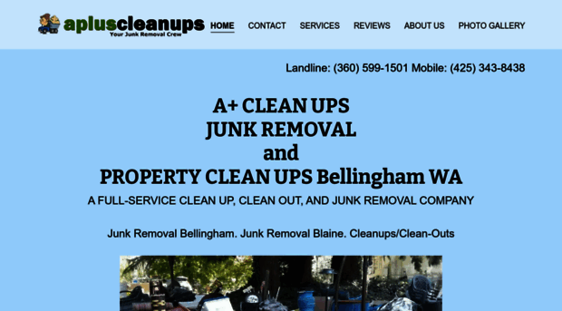 apluscleanups.com