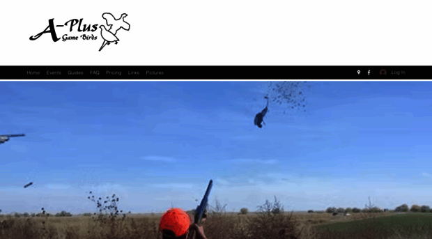 aplusgamebirds.com