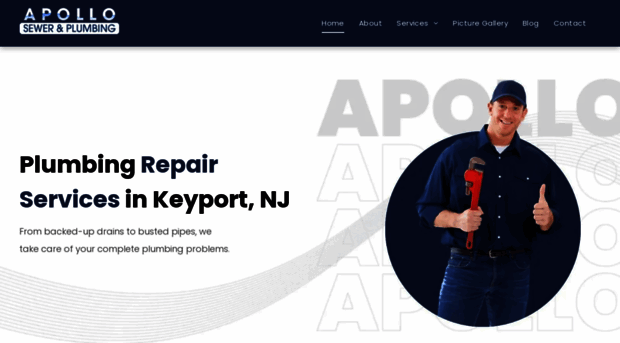 apollosewerandplumbing.com