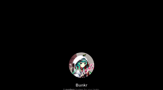 app.bunkrr.su