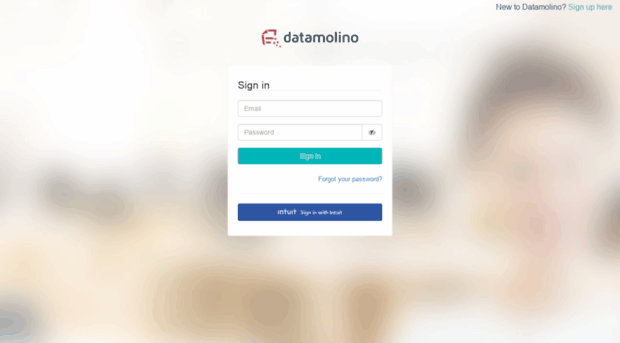 app.datamolino.com