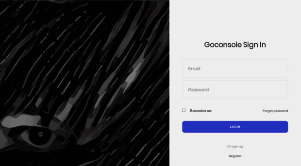app.goconsole.io