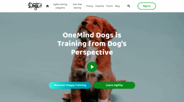 app.oneminddogs.com