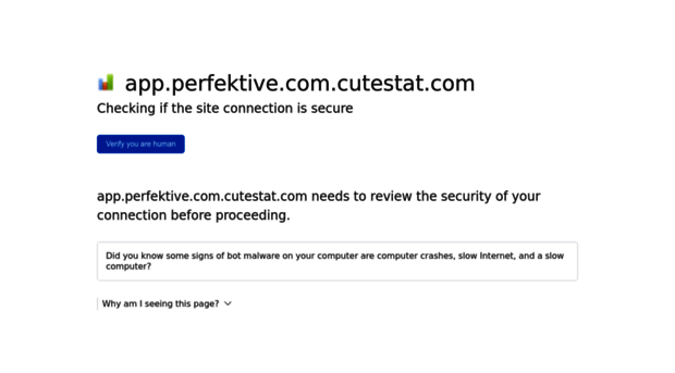 app.perfektive.com.cutestat.com