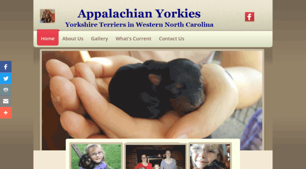 appalachianyorkies.com