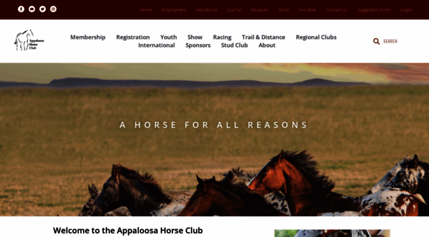 appaloosa.com