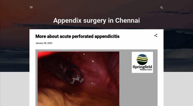 appendixsurgeryinchennai.blogspot.com