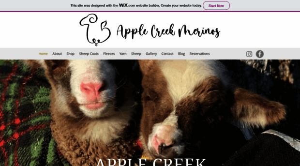 applecreekmerinos.com