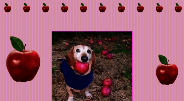 appledogsolana.com