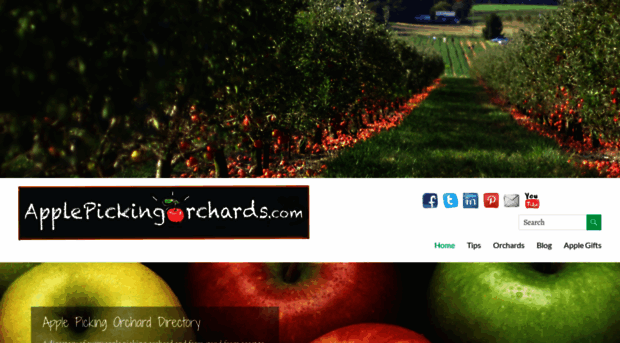 applepickingorchards.com
