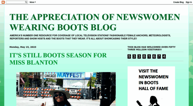 appreciationofbootednewswomen.blogspot.ca